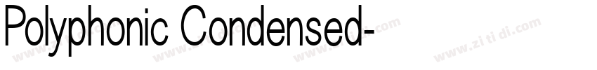 Polyphonic Condensed字体转换